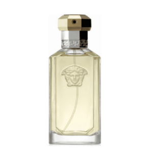 Versace-The-Dreamer-EDT-for-Men-100ml-Bottle