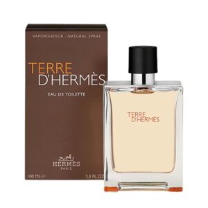 Hermes-Terre-Dhermes-EDT-for-Men-100ml