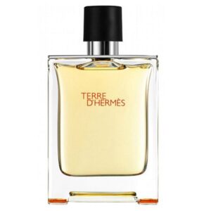 Hermes-Terre-Dhermes-EDT-for-Men-100ml-Bottle