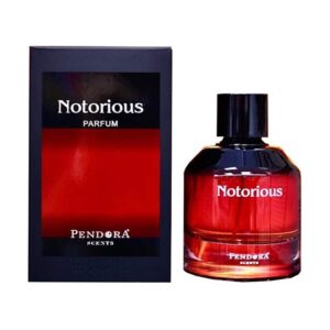 Paris-Corner-Notorious