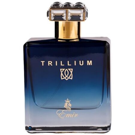 Emir-Trillium-EDP-for-Men-100ml-Bottle